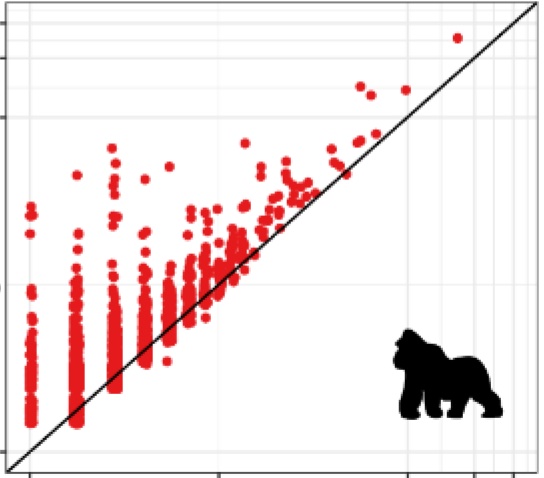 Complete sequencing of ape genomes